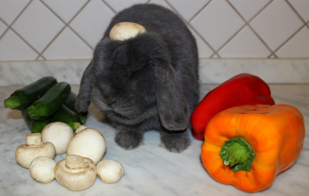 Fluffy grey bunny with a mushroom on his head and vegetables around him