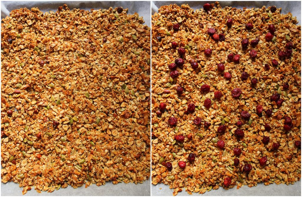 Healthy vegan granola with coconut and cranberries